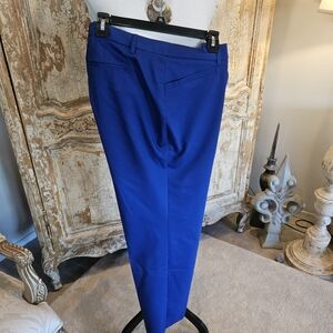 Roz & Ali Men's Vibrant Blue Dress Pants
